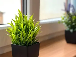 Pronájem atypického bytu, Strmilov - Česká Olešná, 100 m2