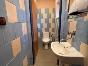 Pronájem atypického bytu, Strmilov - Česká Olešná, 100 m2