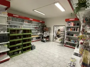 Pronájem obchodního prostoru, Jirny, Tovární, 250 m2