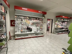 Pronájem obchodního prostoru, Jirny, Tovární, 250 m2
