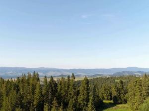 Prodej pozemku pro bydlení, Malá Morava - Křivá Voda, 1669 m2