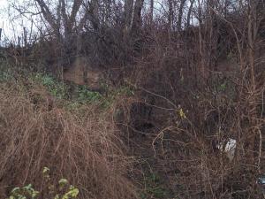 Pronájem rodinného domu, Nemotice, 39 m2