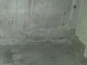 Pronájem rodinného domu, Nemotice, 39 m2