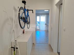 Pronájem bytu 2+kk, Praha - Žižkov, Olgy Havlové, 52 m2