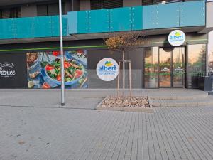 Pronájem bytu 2+kk, Praha - Žižkov, Olgy Havlové, 52 m2