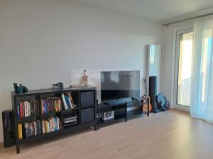 Pronájem bytu 2+kk, Praha - Žižkov, Olgy Havlové, 52 m2