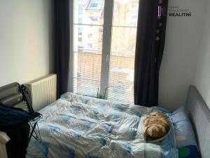 Pronájem bytu 2+kk, Brno - Líšeň, Poslušného, 34 m2