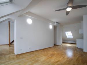 Pronájem bytu 1+kk, Praha - Karlín, Kaizlovy sady, 78 m2