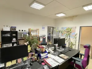 Pronájem obchodního prostoru, Jirny, Tovární, 537 m2