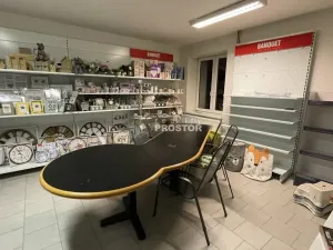 Pronájem obchodního prostoru, Jirny, Tovární, 506 m2