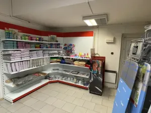 Pronájem obchodního prostoru, Jirny, Tovární, 506 m2