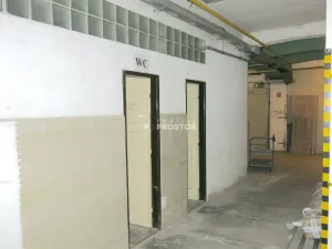 Pronájem skladu, Jirny, Tovární, 447 m2