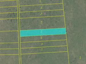 Dražba louky, Skřivany, 1440 m2