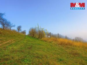 Prodej pole, Bukovany, 1791 m2