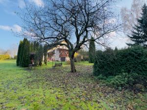 Prodej rodinného domu, Horní Police - Podlesí, 239 m2