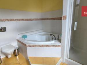 Pronájem bytu 3+1, Teplice, Jungmannova, 115 m2