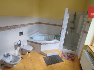 Pronájem bytu 3+1, Teplice, Jungmannova, 115 m2