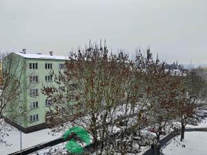 Pronájem bytu 2+1, Ostrov, Kollárova, 60 m2