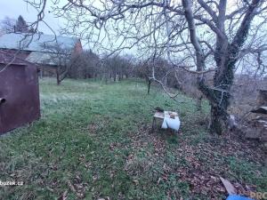 Prodej pozemku pro bydlení, Brodek u Přerova, 1193 m2