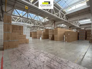 Pronájem skladu, Týniště nad Orlicí, Vrchlického, 22300 m2