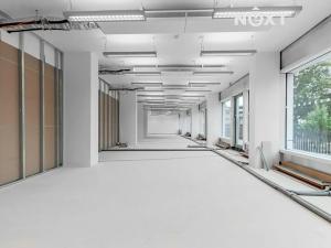 Pronájem obchodního prostoru, Praha - Nusle, Lomnického, 45 m2