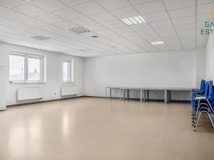 Pronájem výrobních prostor, Hrušky, Na aleji, 6941 m2