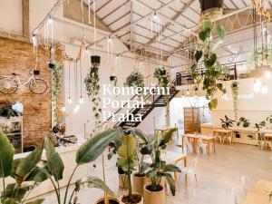 Pronájem restaurace, Praha, Myslíkova, 250 m2