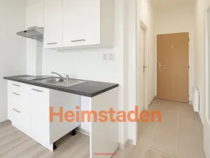 Pronájem bytu 1+kk, Stonava, Hořany, 23 m2
