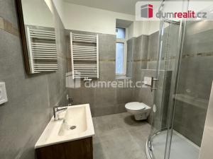 Pronájem bytu 2+1, Ústí nad Labem, Palachova, 65 m2