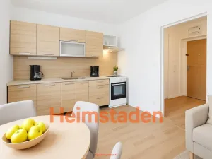 Pronájem bytu 1+1, Havířov - Šumbark, Opletalova, 28 m2