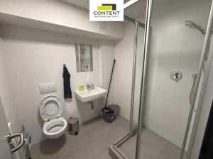 Pronájem skladu, Králův Dvůr - Počaply, Pod Dálnicí, 875 m2