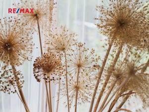 Prodej chaty, Stříbrná Skalice, 68 m2