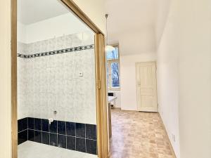 Pronájem bytu 1+1, Praha - Vinohrady, Mánesova, 48 m2