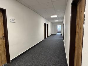 Pronájem skladu, Ostrava - Kunčice, Frýdecká, 600 m2