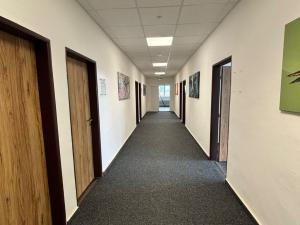 Pronájem skladu, Ostrava - Kunčice, Frýdecká, 600 m2