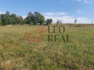 Prodej chalupy, Xaverov, 5500 m2