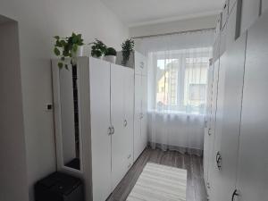 Prodej činžovního domu, Cvikov - Cvikov I, Komenského, 245 m2