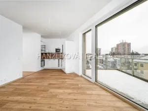 Pronájem bytu 3+kk, České Budějovice, Hálkova, 66 m2