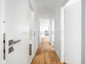 Pronájem bytu 3+kk, České Budějovice, Hálkova, 66 m2