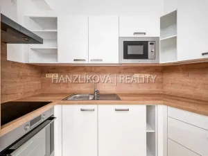 Pronájem bytu 3+kk, České Budějovice, Hálkova, 66 m2