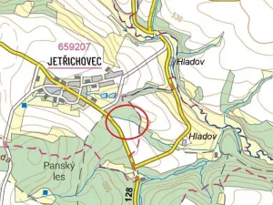 Prodej podílu lesa, Pacov, 1301 m2