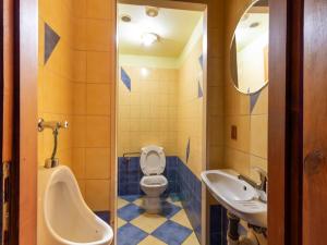 Prodej rodinného domu, Dolní Dvořiště - Jenín, 341 m2