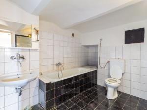 Prodej rodinného domu, Dolní Dvořiště - Jenín, 341 m2