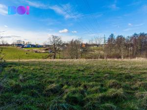 Prodej pozemku pro bydlení, Orlová, 7449 m2