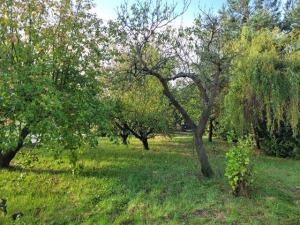 Prodej rodinného domu, Vlčí Habřina, 75 m2