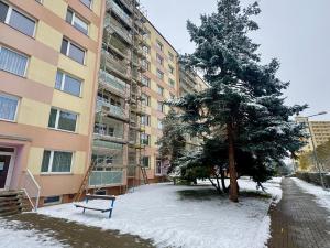 Prodej bytu 1+1, Duchcov, Osecká, 36 m2