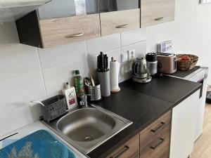 Pronájem bytu 1+kk, Škvorec - Třebohostice, 29 m2