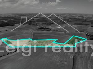 Prodej sadu/vinice, Kralupy nad Vltavou, 246558 m2