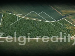 Prodej sadu/vinice, Kralupy nad Vltavou, 246558 m2