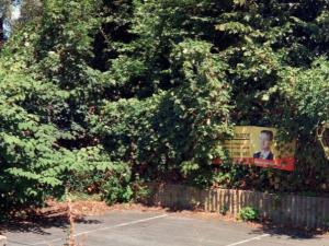 Prodej pozemku pro bydlení, Dlouhá Loučka, Valšův Důl, 515 m2